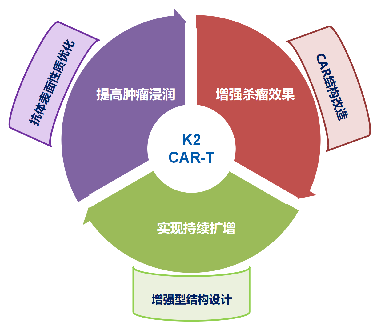 Technology Platform Technology Platform